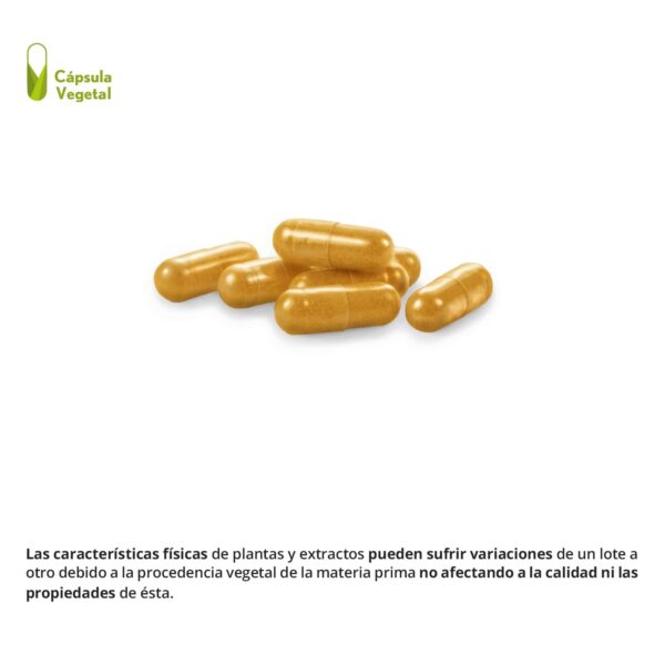 Cúrcuma Complex 10.000 mg 60 Cápsulas Vegetales - Imagen 2