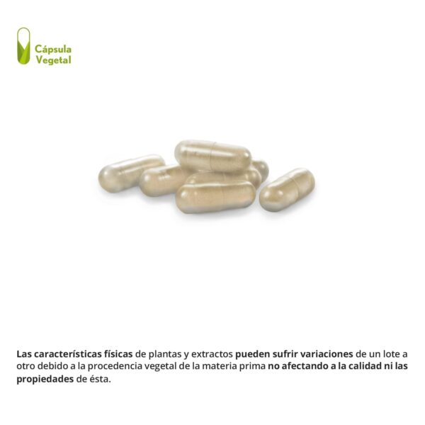 Melatodream 320 mg 30 capsulas vegetales - Imagen 4