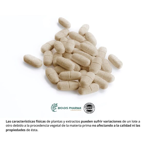 Adelgapower 810 mg 60 comp - Imagen 2